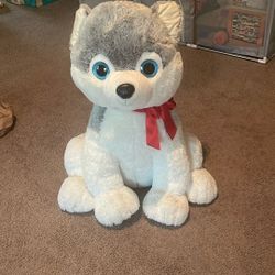 Large Size Teddy