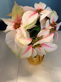 Artificial Christmas Plant