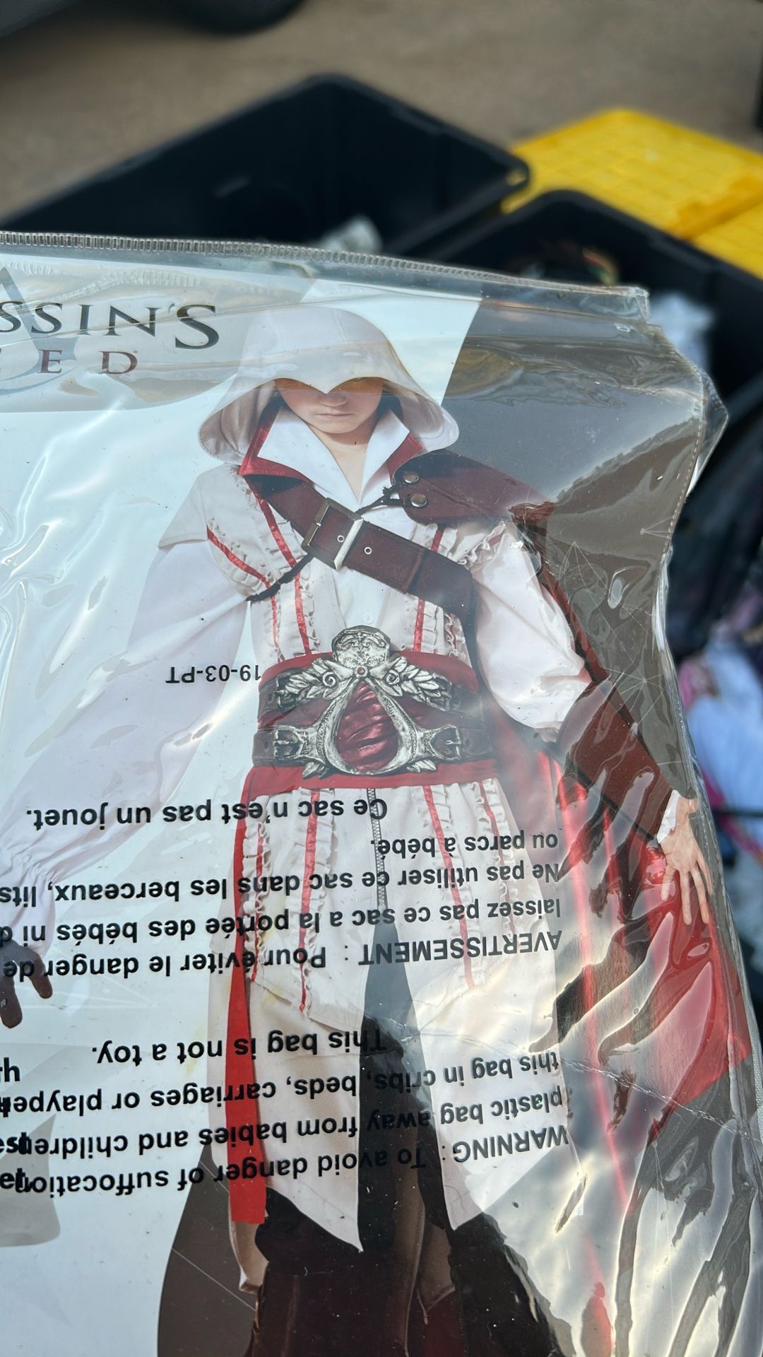 Halloween Costume: Assassins creed