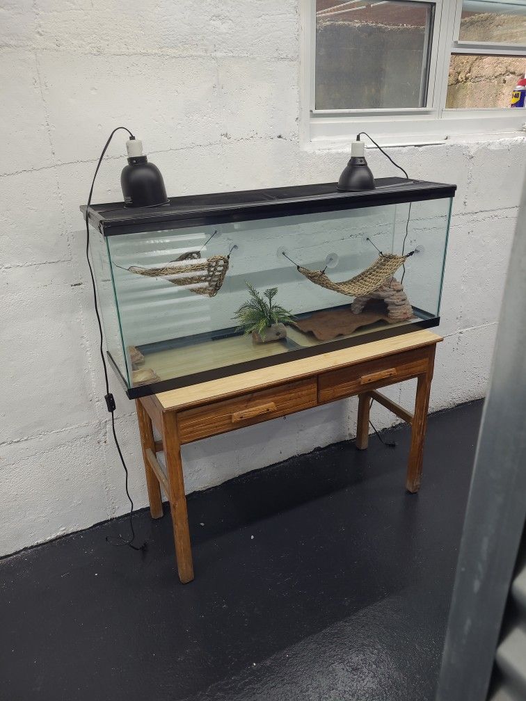 Terrarium or Fish Tank