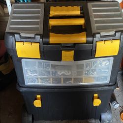 Rolling Tool Box