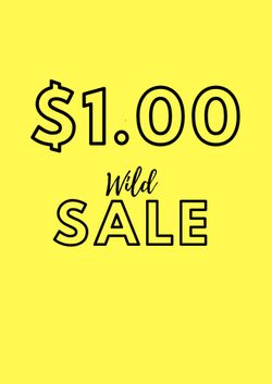 $1.00 Apparl & 🏡 Home Decor, CLEARANCE Sales , OverStocked Merchandise , Purchase & Pickup @ Store. PpW Boutique One