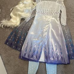Frozen 2 Elsa Dress