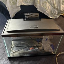 10 Gallon Fish Tank