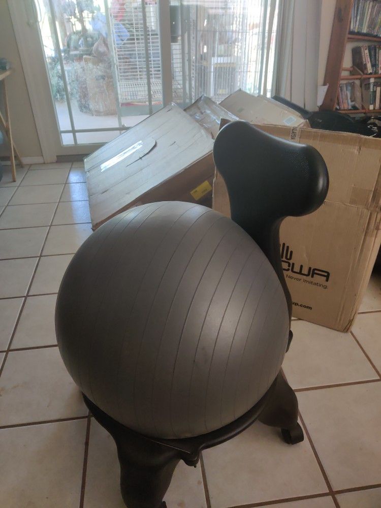 Exercise Ball Chair