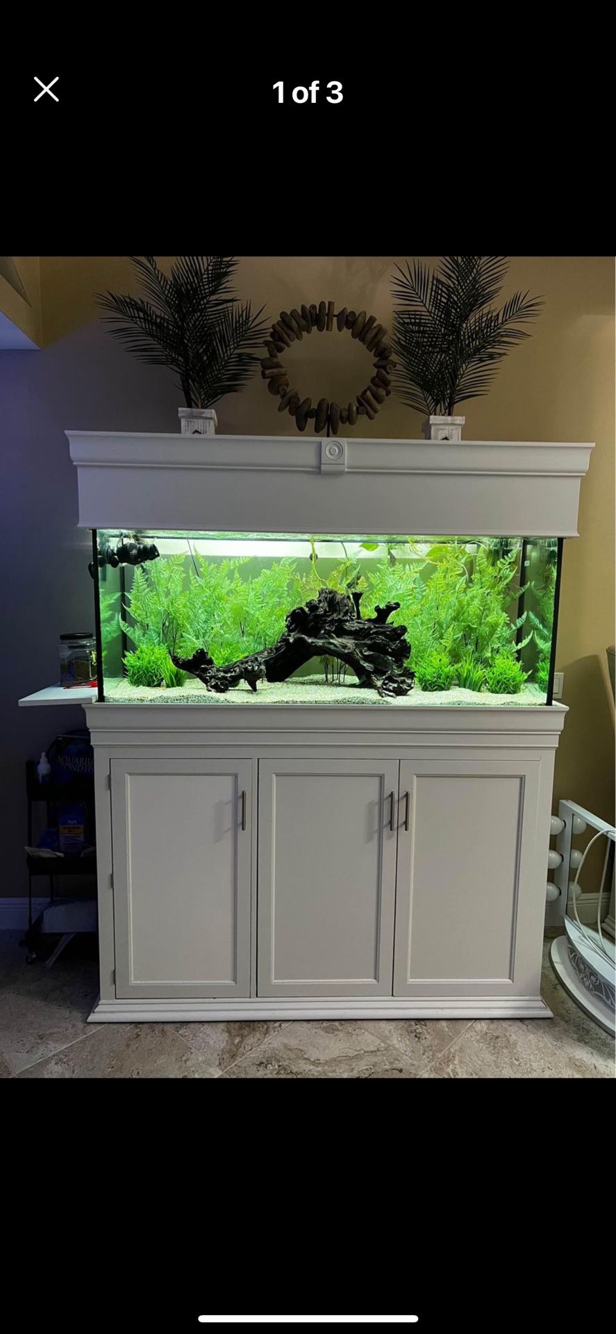 120 Gallon Aquarium Setup