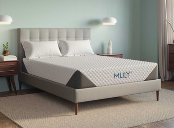 Brand New Queen 10′′ Gel Memory Foam Mattress