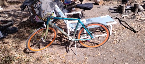 Trek District Carbon Fiber