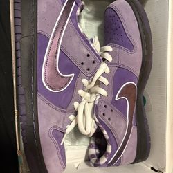 Purple Lobster, Size 12