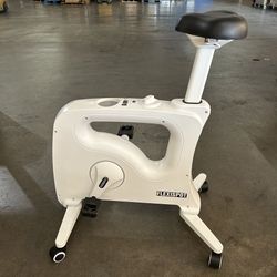 Flexispot Bike Chair