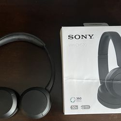 Sony WH-CH520 Headphones
