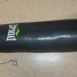 Everlast Punching Bag And Gloves 