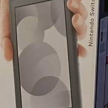 Nintendo switch lite got for Christmas used for a few hours, don't need it.
Paid $259 plus tax

Compete reset to original factory settings