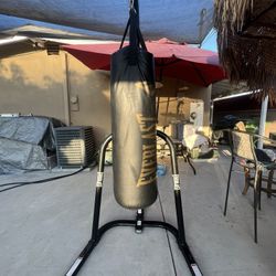 Everlast punching bag with Speed Bag 