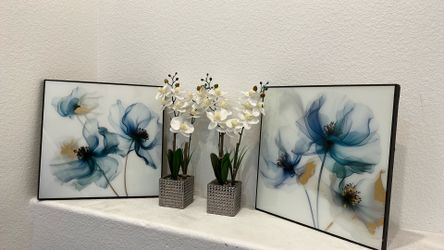 Pictures set up