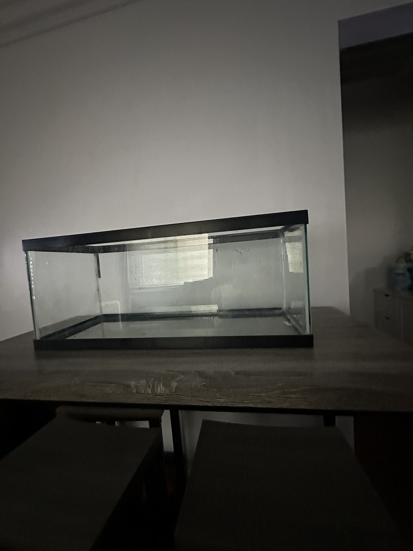 20 Gallon Fish Tank