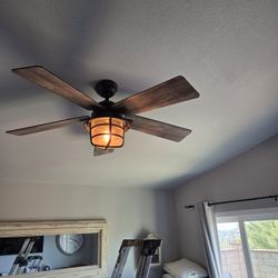 Ceiling Fan Hunter Brand