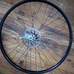 29 inch back rim with dis converter