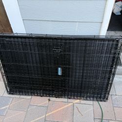 XL Crate For Large And Giant Breed