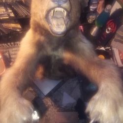 Fake Faux Stuffed Animal Bear Life-size Figure Realistic