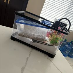 Turtle Tank And Accessories 