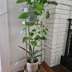 Gold Metal Two Tiered Accent Side Table Or Plant Stand