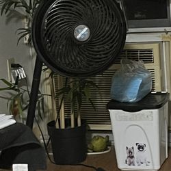 Vornado Fan