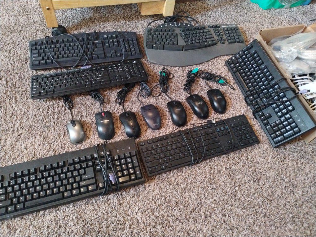 Computer Keyboards & Mouses