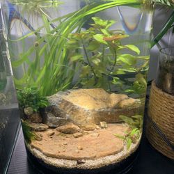 Round Cylinder 5 Gallon Aquarium Fish Tank