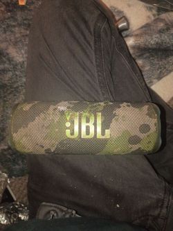JBL flip 6