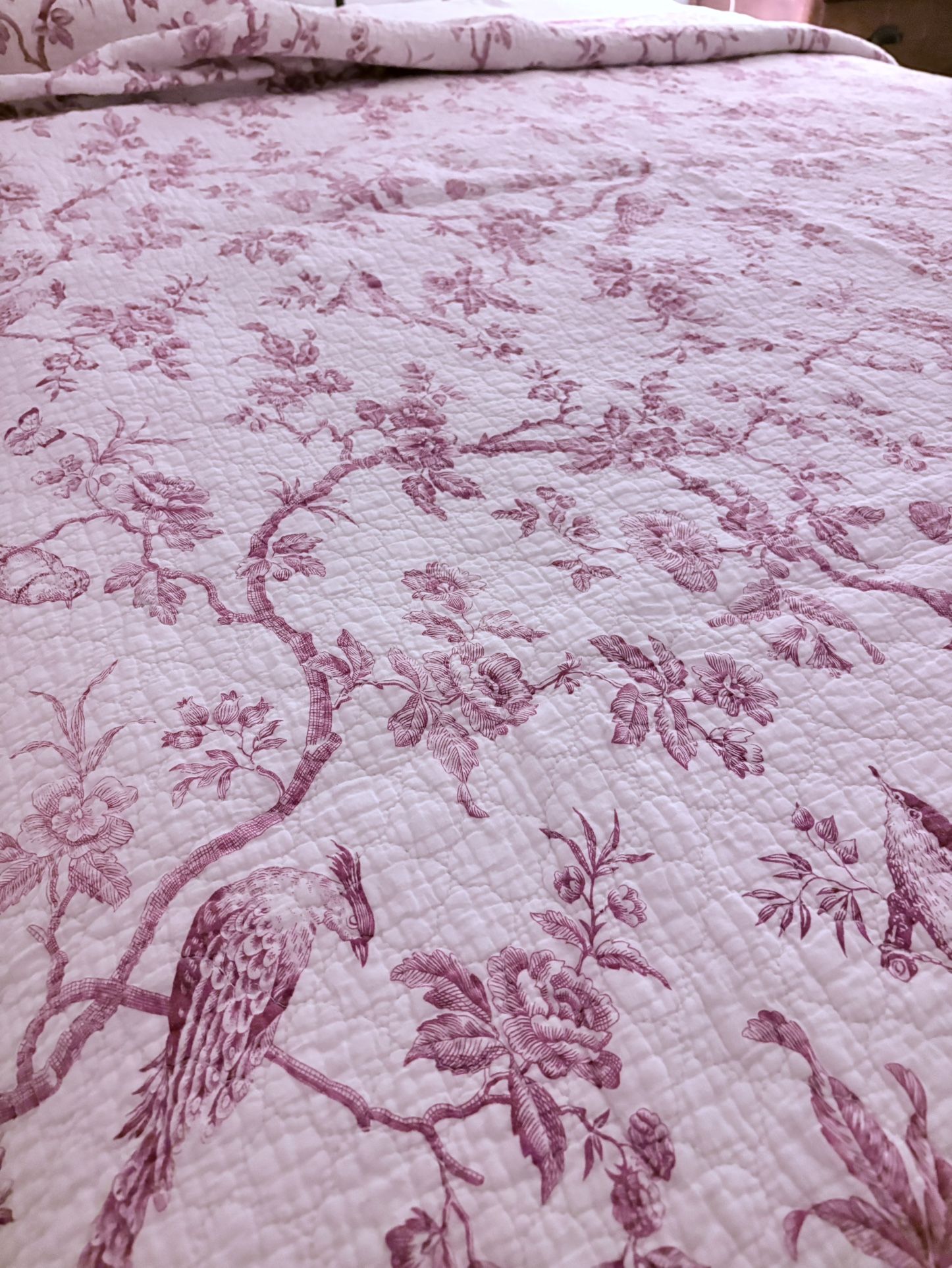 Bird old quilt, full size