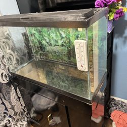 Fish Tank 29 Gallon W/ Stand