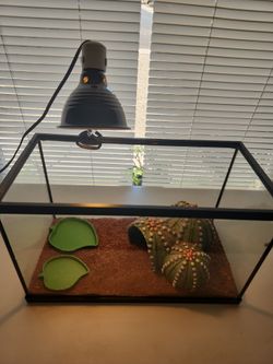 Reptile terrarium
