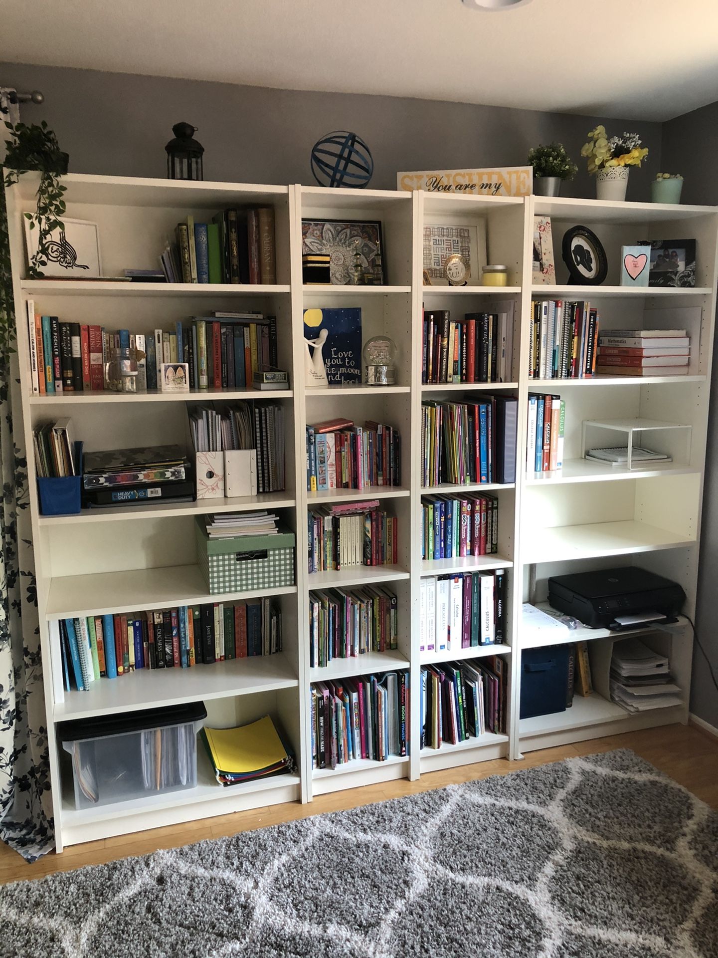 IKEA Billy bookcases