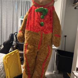 Christmas Costume - Adult Size