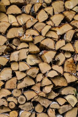 Hurry and Not Miss Out Bone Dry Fire Wood Sale