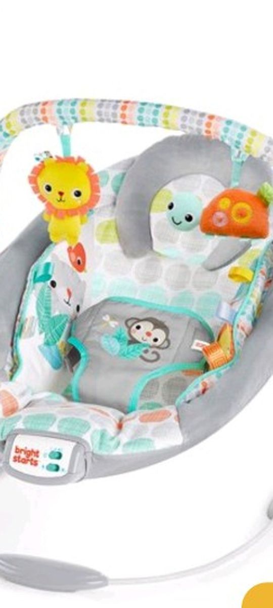 New In Box Baby Bouncer