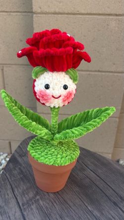 Eternal rose with a tender face