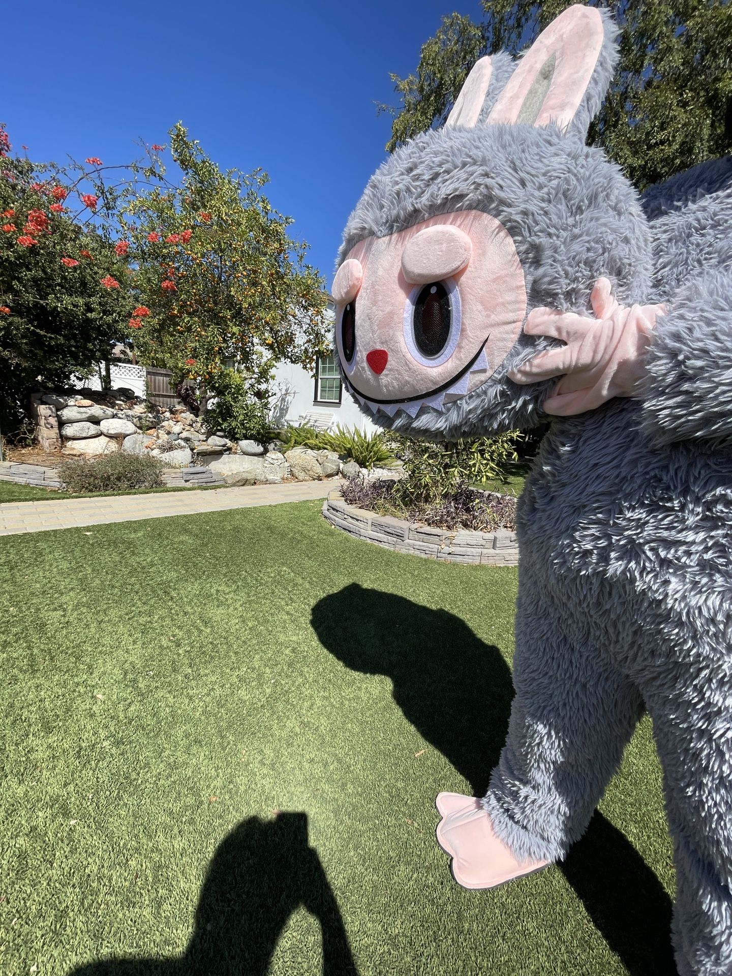 Halloween Costume Labubu