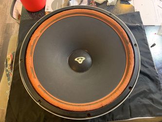 Woofer Refoaming  Bose, Cerwin Vega, Infinity Etc.