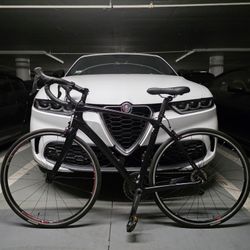 17.8 lb. All-Carbon Trek Domane SLR 6 Racing Bike 