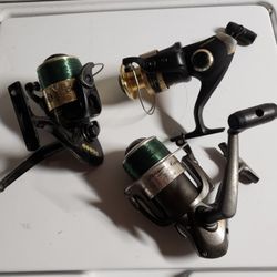 Large REELS