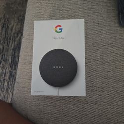 Google Nest Mini 2nd Generation 