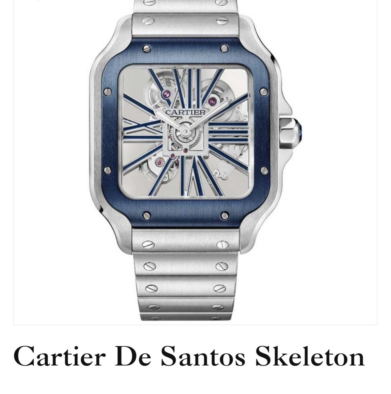 Santos 39.7mm stainless steel
