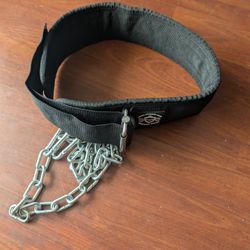 Weighted Dip Belt