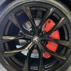 Tesla 20s Wheels