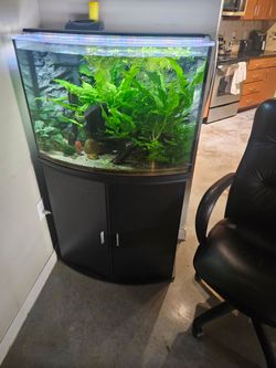 60 Gal Aquarium