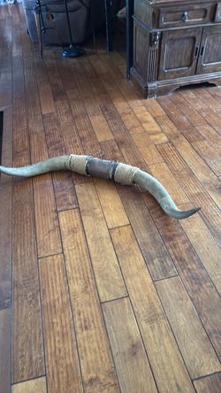 Bullhorns