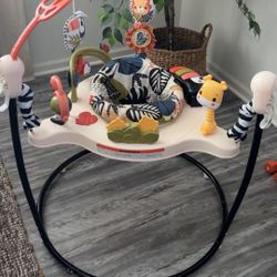 Fisher price Bouncer Activity Center