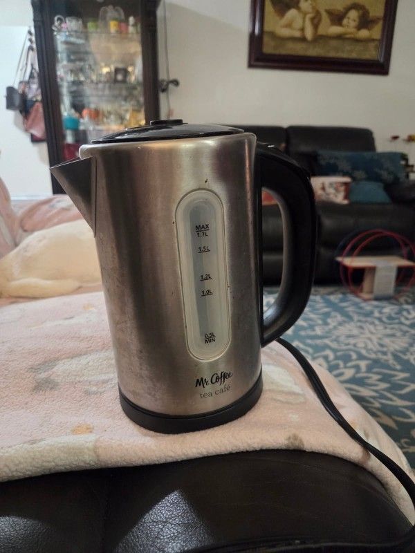 Electric Water Kettle